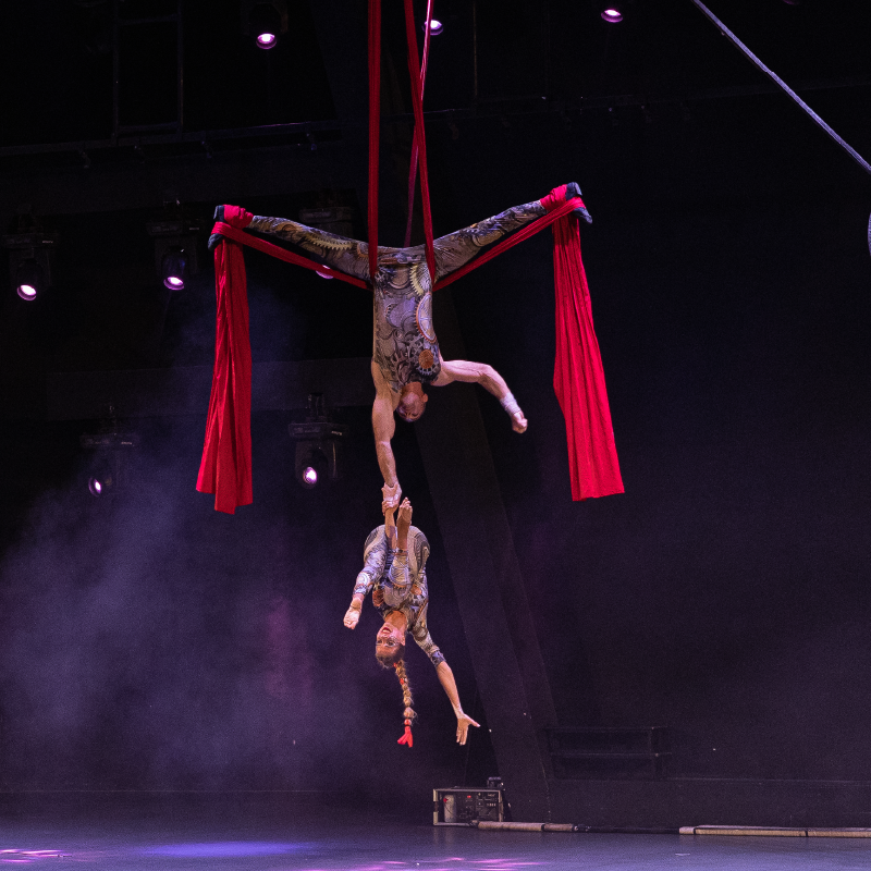 Şovlar ve Aktiviteler